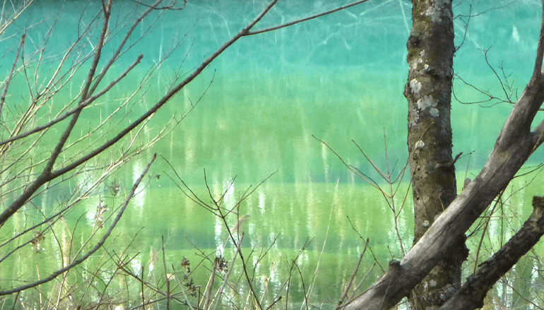 神秘の五色沼ガイドウォーク