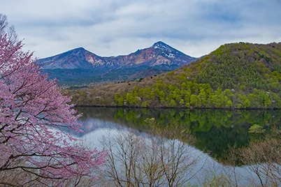 桧原湖と磐梯山