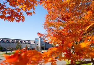 紅葉に囲まれたホテル