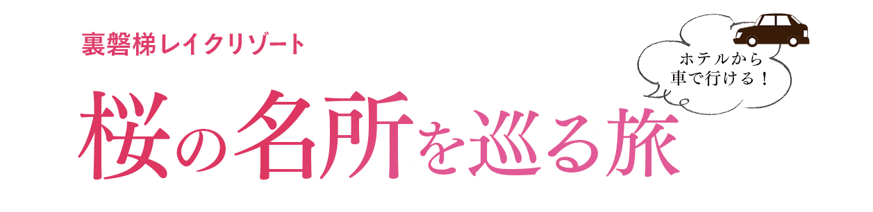 桜の名所を巡る旅