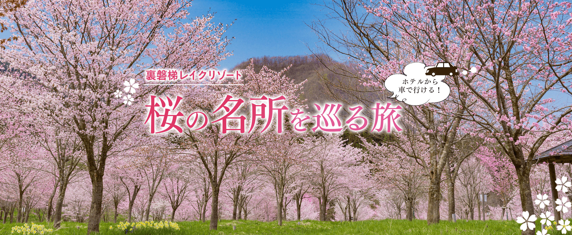 桜の名所を巡る旅