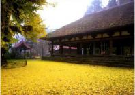 新宮熊野神社の長床