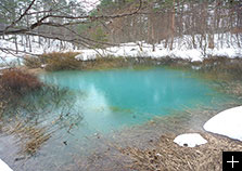 冬のアクティビティ例／五色沼スノーシュー。輝く青い沼と純白の森へ。