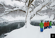 冬のアクティビティ例／雪上散歩。ゆったり気軽に体験プラン。