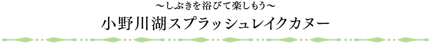 「小野川湖スプラッシュレイクカヌー」のツアーページ