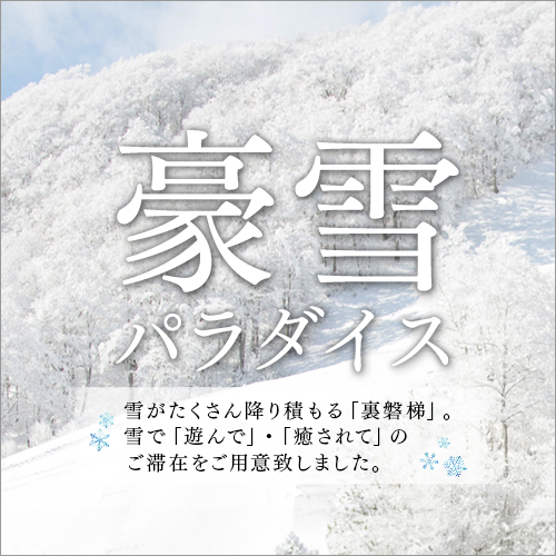 豪雪パラダイス