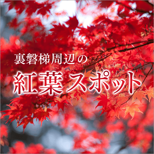 裏磐梯周辺の紅葉スポット