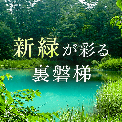 新緑が彩る裏磐梯