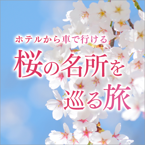 桜の名所を巡る旅