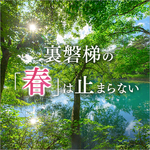 裏磐梯の春は止まらない