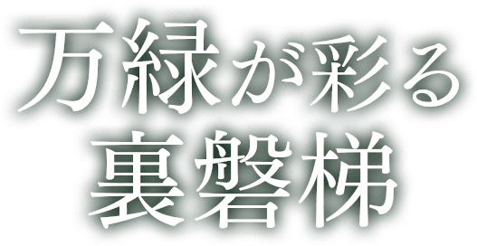 万緑が彩る裏磐梯