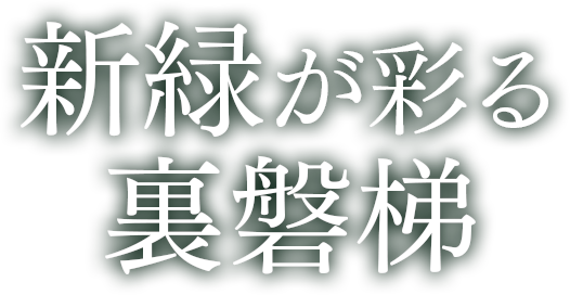 新緑が彩る裏磐梯