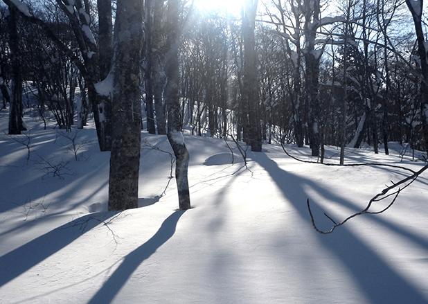 はじめての五色沼早朝散歩